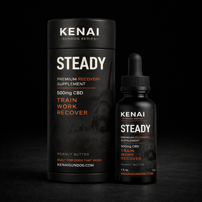 KENAI STEADY — 500mg Broad Spectrum CBD Recovery Oil